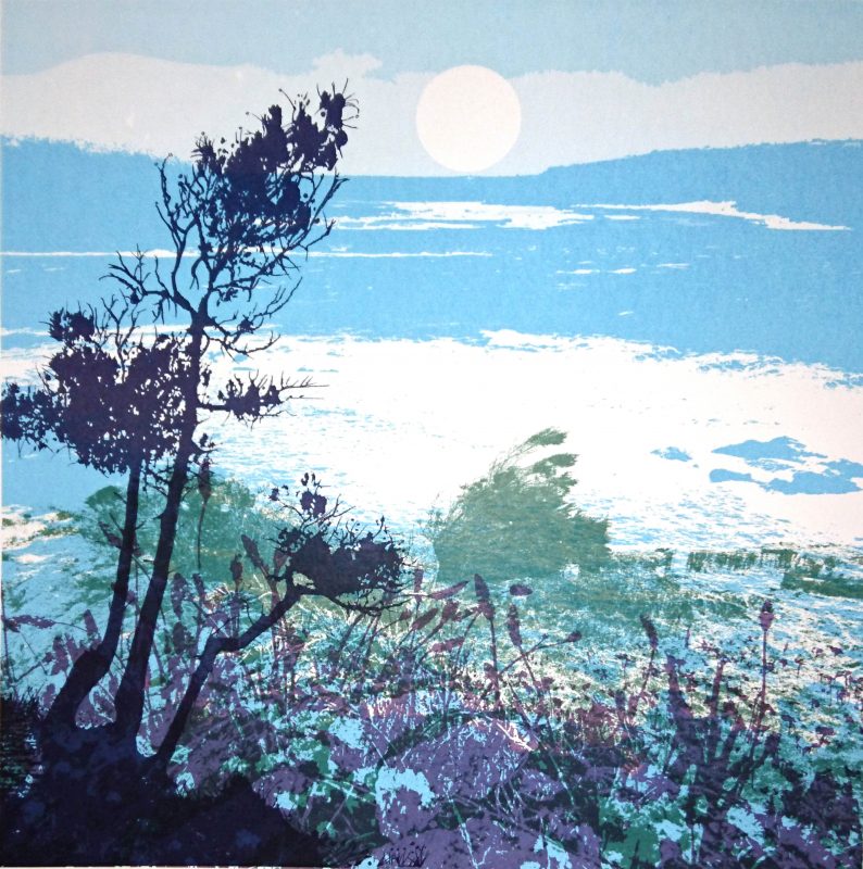 Artist, Ruth McDonald screen print