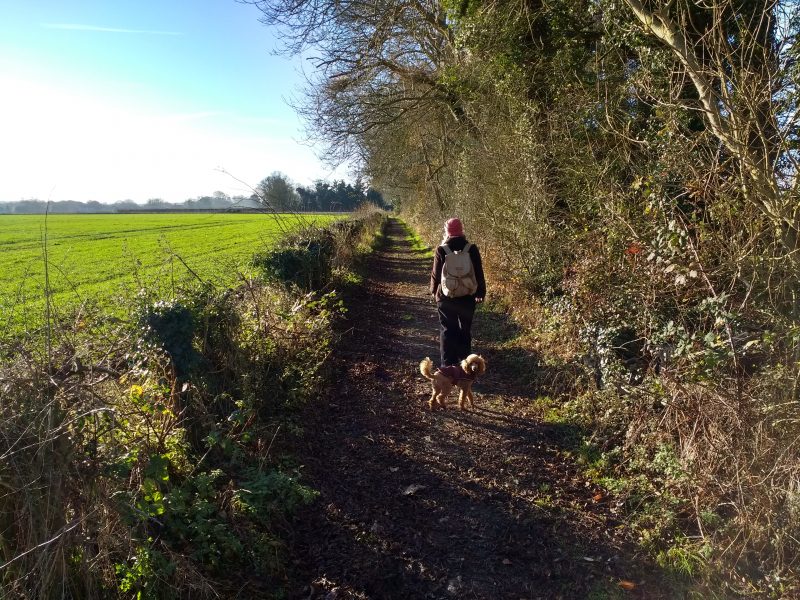 A winter walk around Faversham