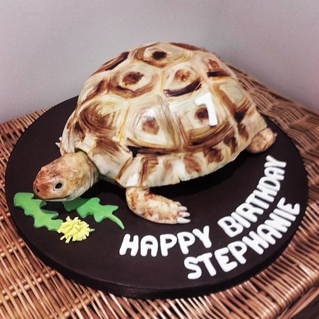 A tortoise cake