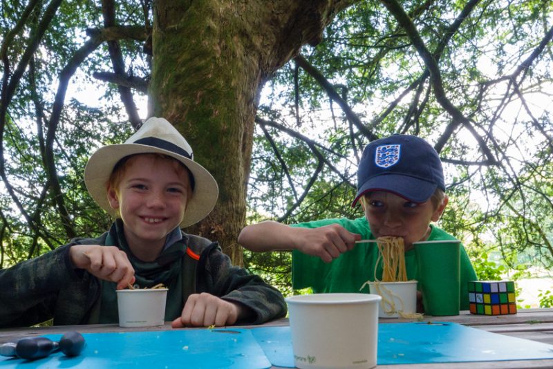 Wild Classroom stir fry