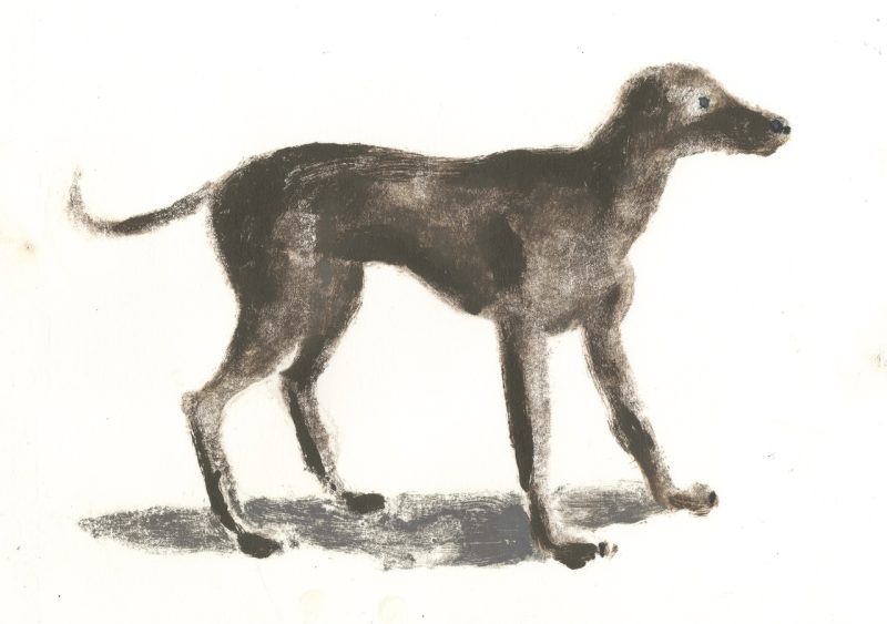 Long brown dog, Charles Williams