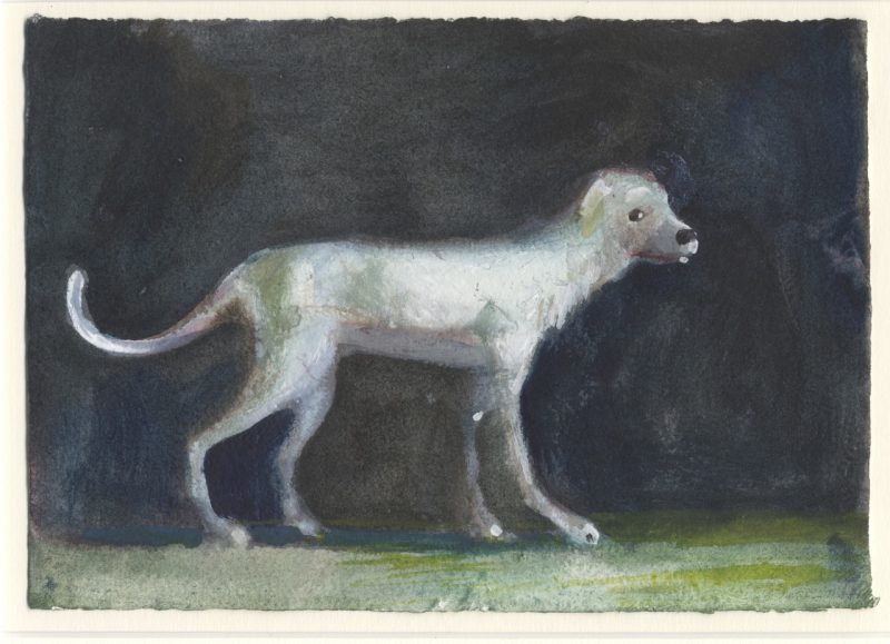 White Dog, Charles Williams
