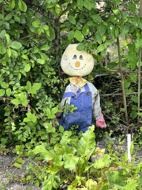Cheerful scarecrow