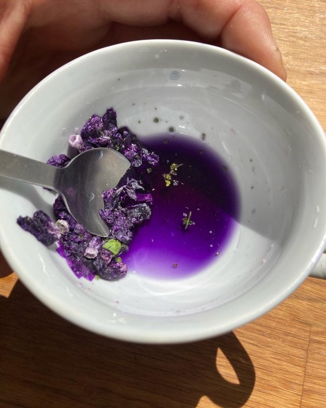 Ink from purple mallow found on a road verge