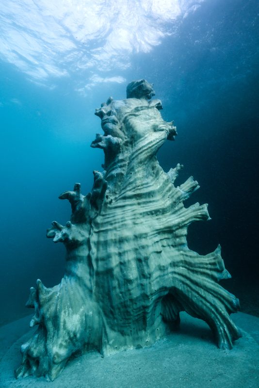 Ocean Sentinels is a series of eight sculptures which fuse human figures with natural marine forms. The human figures are predominantly Australians whose work in marine science and marine conservation has influenced our understanding of reef protection