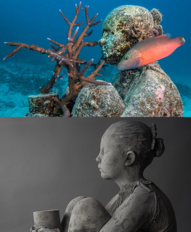 The Sea-Change: an underwater garden where corals grow