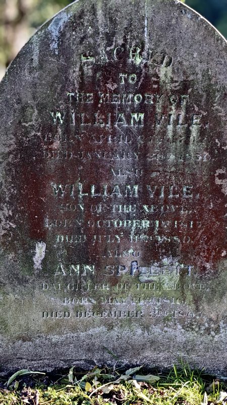 Red lichen transforms the gravestone of the impressively-named William Vile. FL failed to discover the name of this lichen and was put out to find that, on googling 'lichen on gravestones', numerous sites for cleaning it off emerged. One product was called 'Wet and Forget' - too horrible!