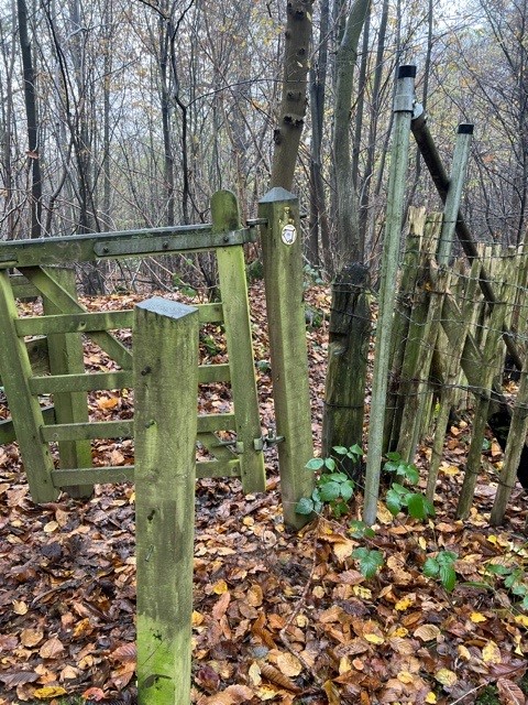Kissing gate showing the miniscule Augustine Camino sticker