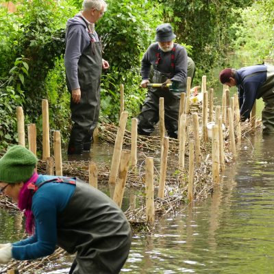 The Friends of the Westbrook and Stonebridge Pond are a local group that meets monthly to maintain and protect this valuable chalk stream