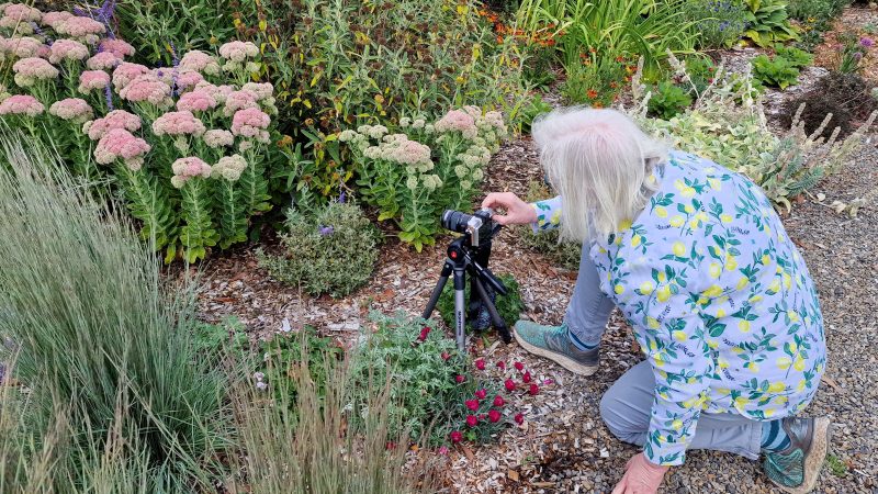 Alexandra is renowned for her early starts so she can photograph gardens in the best light