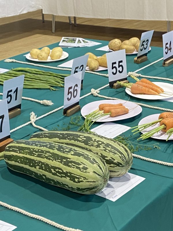 Vegetable contenders from the Autumn Show