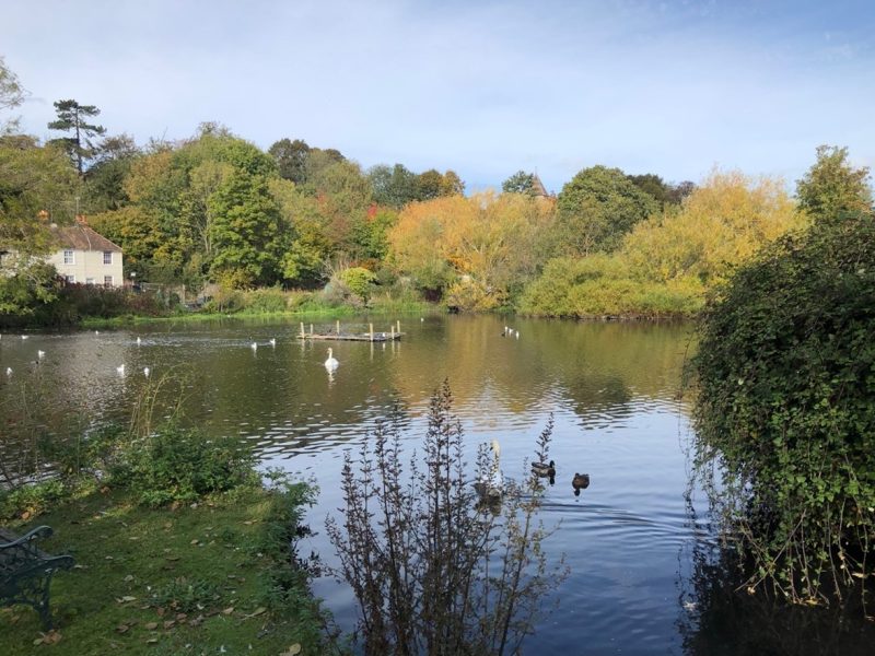 Stonebridge Pond was formerly the millpond driving the waterwheels of the Home Gunpowder Works on the site of today's allotments