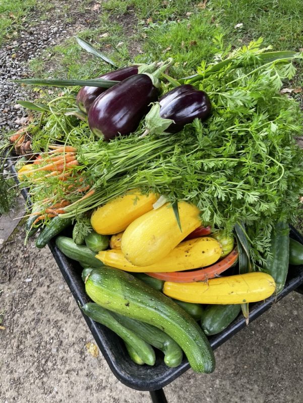 A wheelbarrow laden with bountiful produce