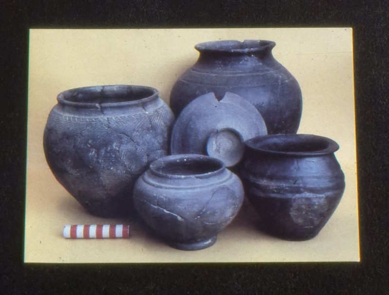 Pre-Roman pots similar to those found in Abbey Farm
