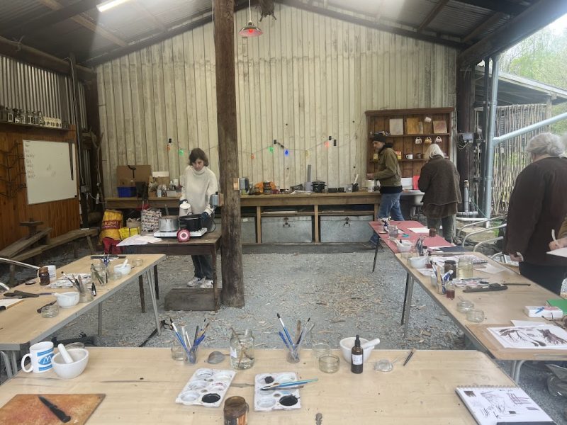 Amanda Thesiger (on left) teaching enthusiastic students how to make botanical ink in the wonderful outside classroom at Walderchaing Wood