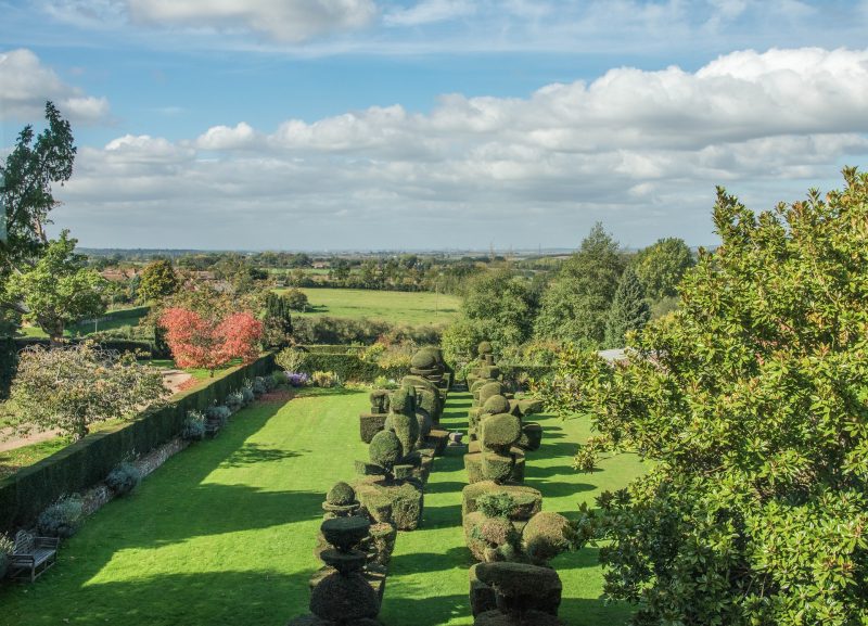 An aerial view of the topiary garden