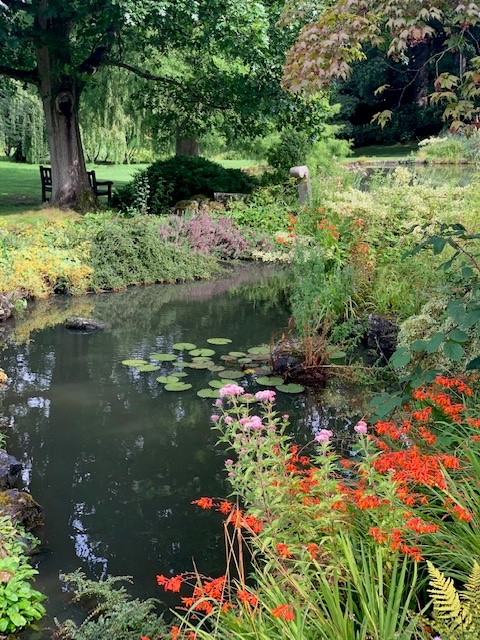 A tranquil corner of the lake