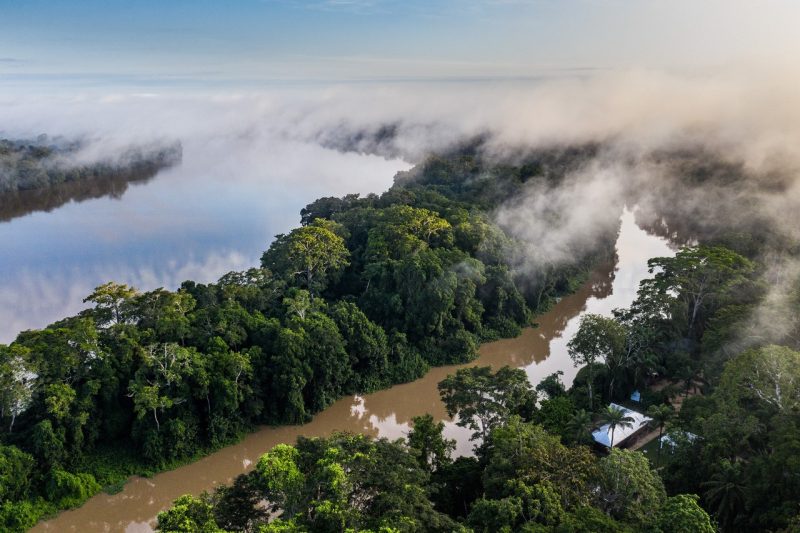 Nouabale-Ndoki National Park, Republic of Congo