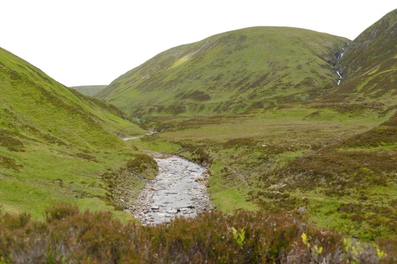 Dalnacardoch Estate, Cairngorms National Park