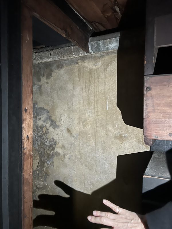 Paintings could be concealed beneath this blistered and stained plaster behind the organ