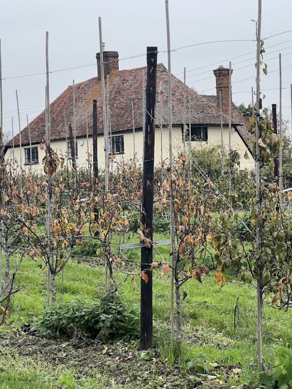 Banks Farmhouse an ancient hall houos