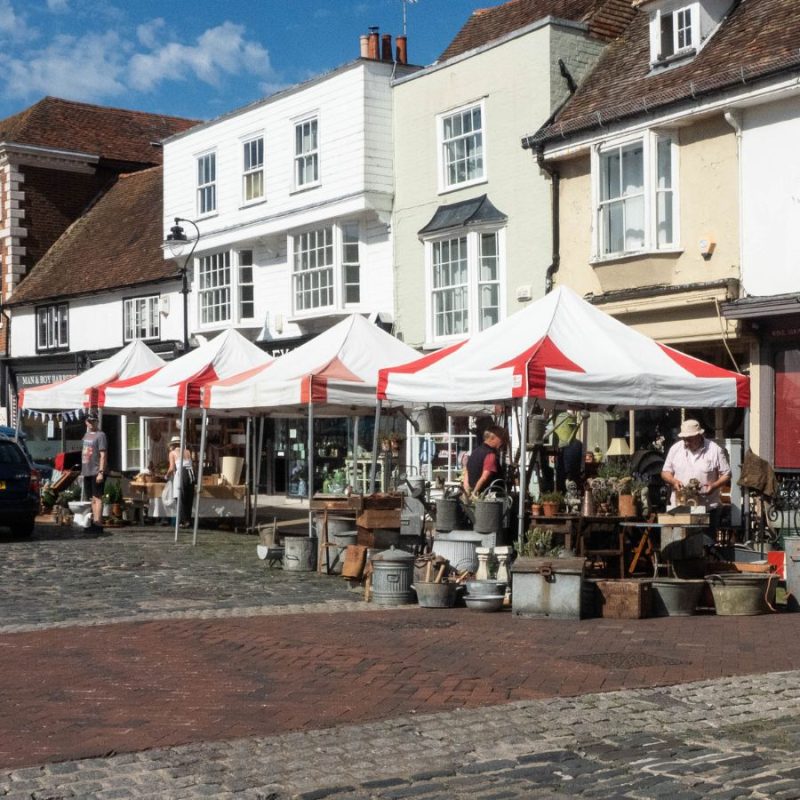 Faversham Open Gardens will happen this year on 29 June. The Garden Market will be the largest ever