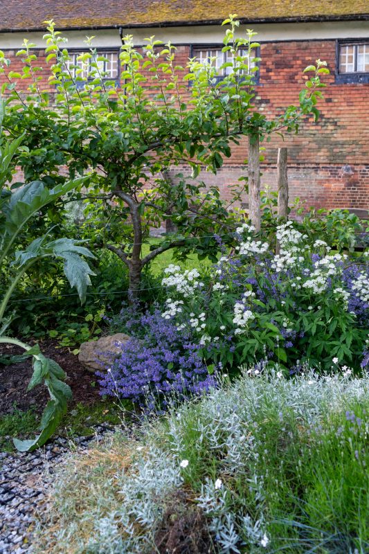 The Abbey Physic Community Garden