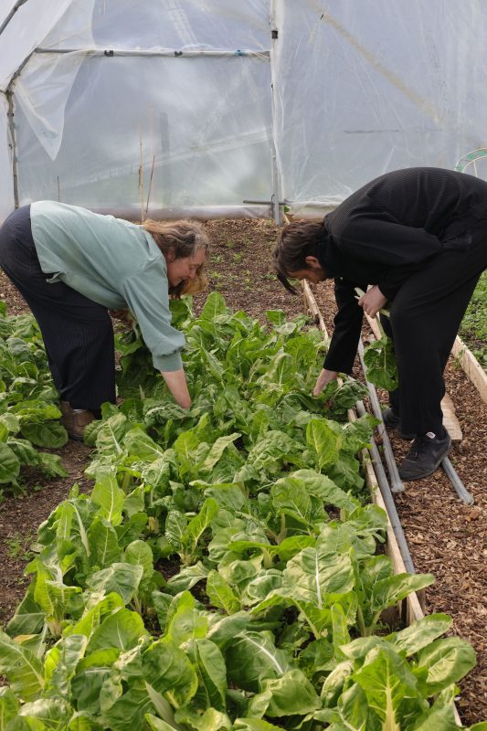 Susanna and Stevie Parle, the chef harvesting for his new London restaurant Town