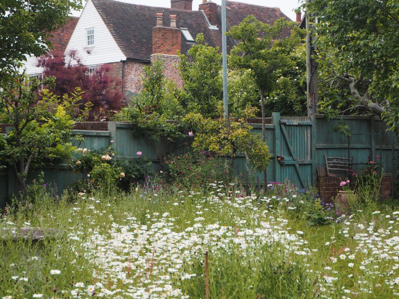 And the meadow