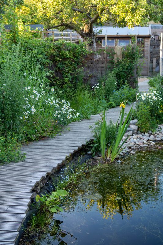 Wildlife garden in Norman Rd