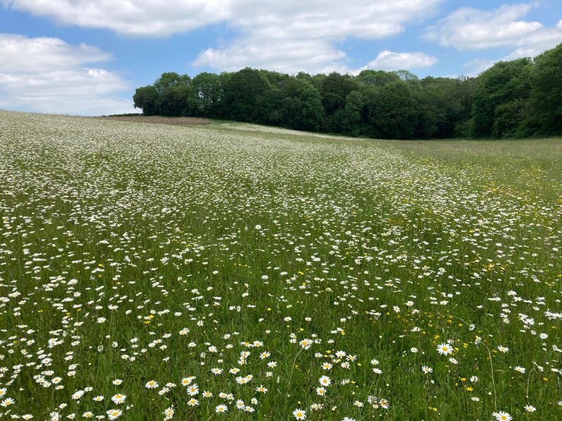 A sweeping view of the ravishing landscape