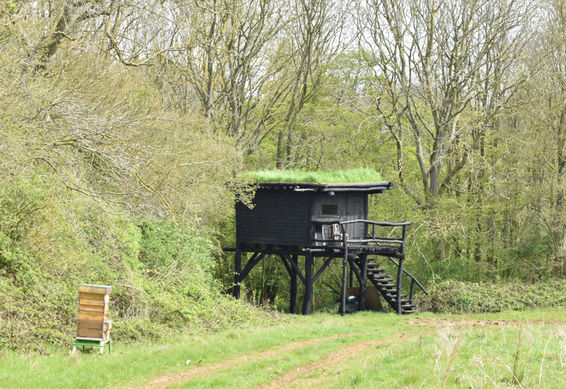A bird hide with a green roof made using fallen wood gathered on Woodsell Farm
