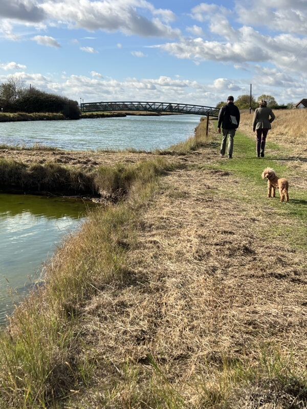 The Queensborough Lines