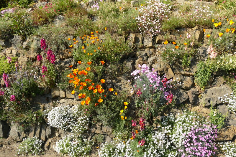 The fused and discarded bricks in Abel’s Acre are evidence of the town’s 19th-century brick-making heritage