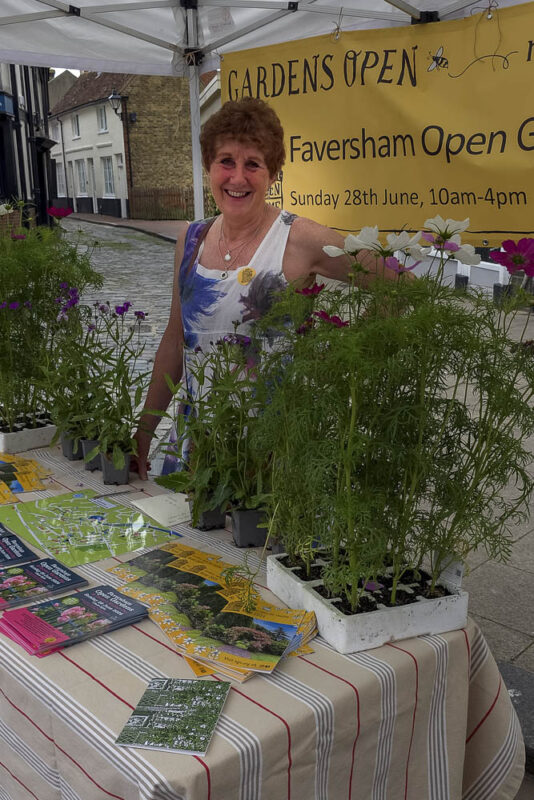 Jane Beedle of the FOG Committee manning the ticket stall