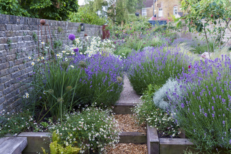 Garden 12: Garden designer Edmund Jackson created this garden three years ago from an overgrown wilderness