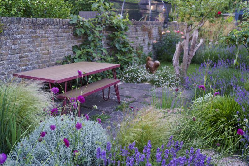 Garden 12: an inspiring design for a narrow town garden